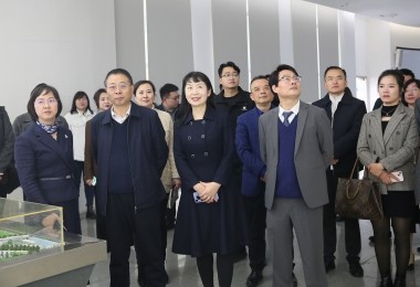 華時(shí)捷科技參加湘江新區(qū)“結(jié)伴同行·海外領(lǐng)秀”座談會(huì)，共謀國(guó)際化發(fā)展新路徑